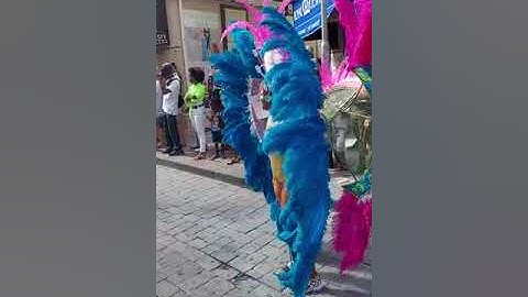 Carnival St Martin - Maarten 2022