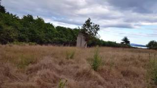 EXPLORING SHINGLE POINT, VALDES ISLAND
