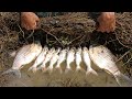 Amazing dry season find big fish by hand - New fishing 2020