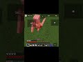 When a Mobile Legend tries Minecraft Java Edition... 💀#minecraft #shorts #viral