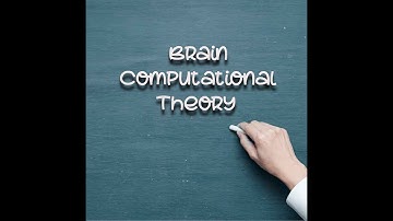 Brain Computational Theory