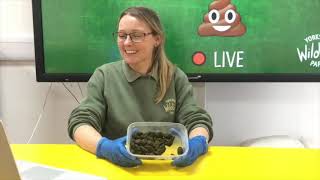 Whose Poo LIVE #3 💩