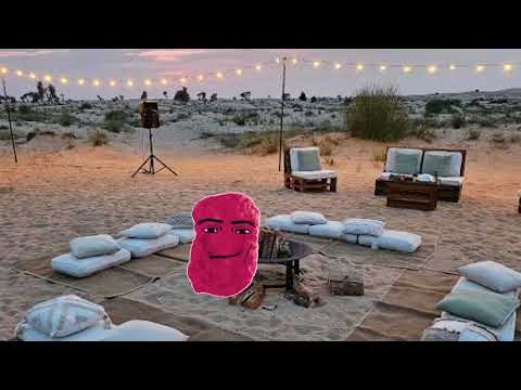 Party Gegagedigedagedago Remix