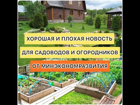 Дачная амнистия. Актуально для садоводов и огородников! Письмо от Минэкономразвития