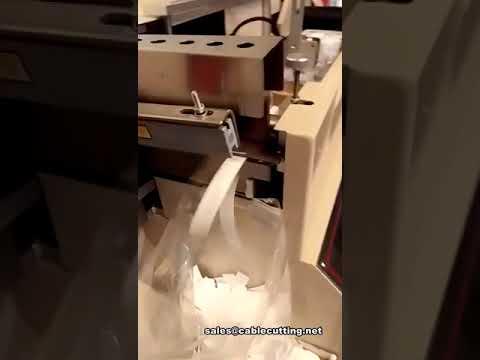Automatic High-Speed Washcare Label Cutting Machine | Tape Cutting Machine