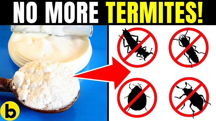 6 Super-Effective Ways To Get Rid Of Termite Infestation - DayDayNews