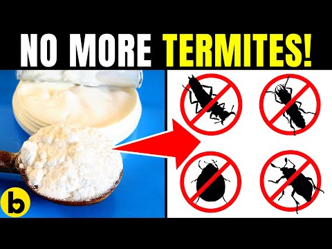 Video: Care este un mod natural de a scăpa de termite?