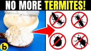 6 Super-Effective Ways To Get Rid Of Termite Infestation screenshot 5