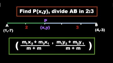 Geometry: Finding the Point that Divides a Line Segment in the Ratio X| Wadhvaniya Academy