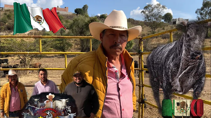 Comenzamos nuestro TOUR PURO TORO MEXICANO, Reseas...