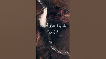 (وَمَنۡ أَعۡرَضَ عَن ذِكۡرِي فَإِنَّ لَهُۥ مَعِيشَةٗ ضَنكٗا..)القارئ فارس عباد❤️‍🩹