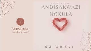 Dj Zwali - Andisakwazi Nokulala(Love song)