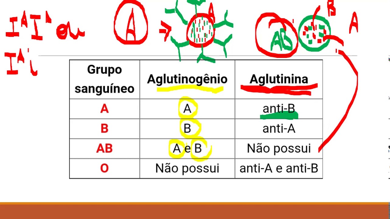 8EF TIPOS SANGUÍNEOS INTRODUÇÃO YouTube 8EF TIPOS SANGUÍNEOS INTRODUÇÃO YouTube