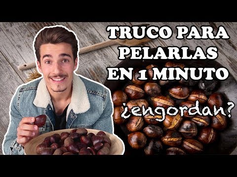 Video: ¿Las ardillas comen castañas de castaño?