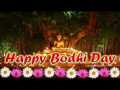 Happy Bodhi Day Whatsapp Status |Bodhi Day 2023|Gautam Buddha Whatsapp Status |Lord Buddha Status