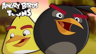 Angry Birds Toons Season 1 | Ep. 47 to 52