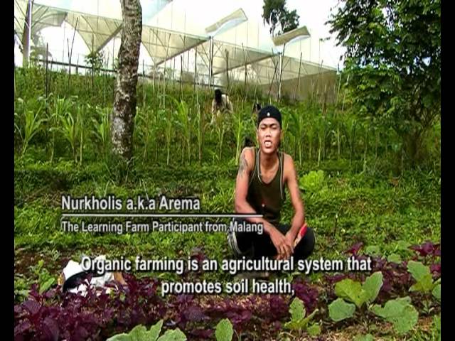 Sowing the seeds of change 3' - The Learning Farm/Karang Widya Indonesia