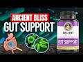 Ancient Bliss Gut Support