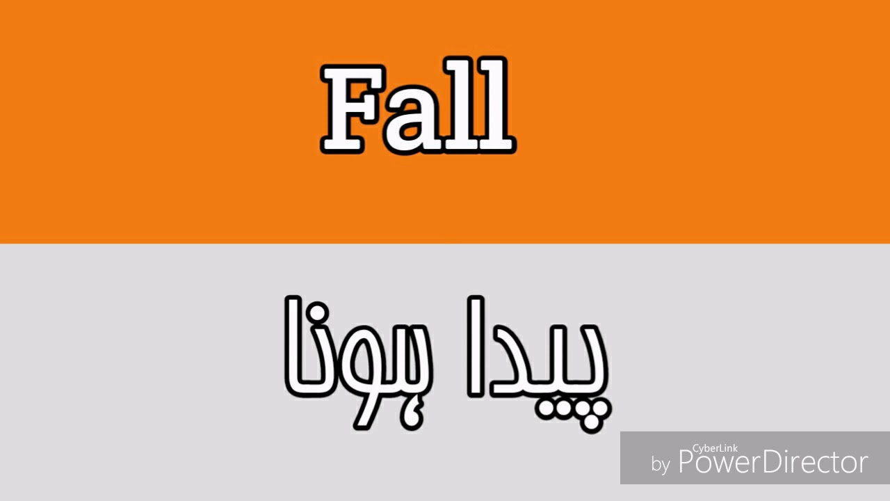 fall-meaning-in-urdu-words-meaning-in-english-mehran-speaking-tv