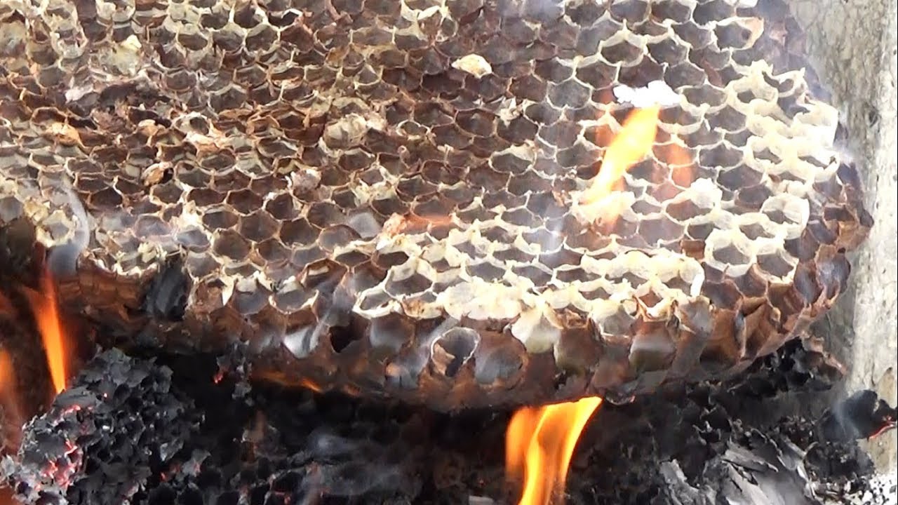甕 素焼き スズメ蜂の巣模様 エリー242 甕 素焼き スズメ蜂の巣模様 エリー242