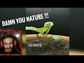 PewDiePie being amazed by plants for 2 minutes