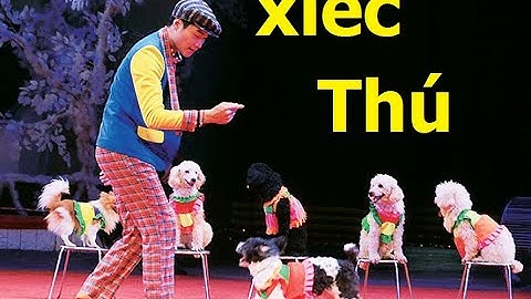 #Xiecthu, #xiecdongvat, #xiec   Xiếc thú tổng hợp mới nhất - Video yêu thích của bé