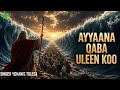 AYYAANA QABA ULEEN KOO YOHANIS TOLESA POWERFUL GOSPEL SONG FAARFANNAA AFAAN OROMOO HAARAA 