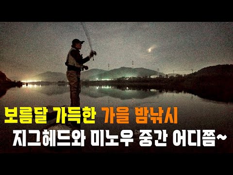 가을 밤낚시/ 지그헤드와 미노우 그 중간 어디쯤~