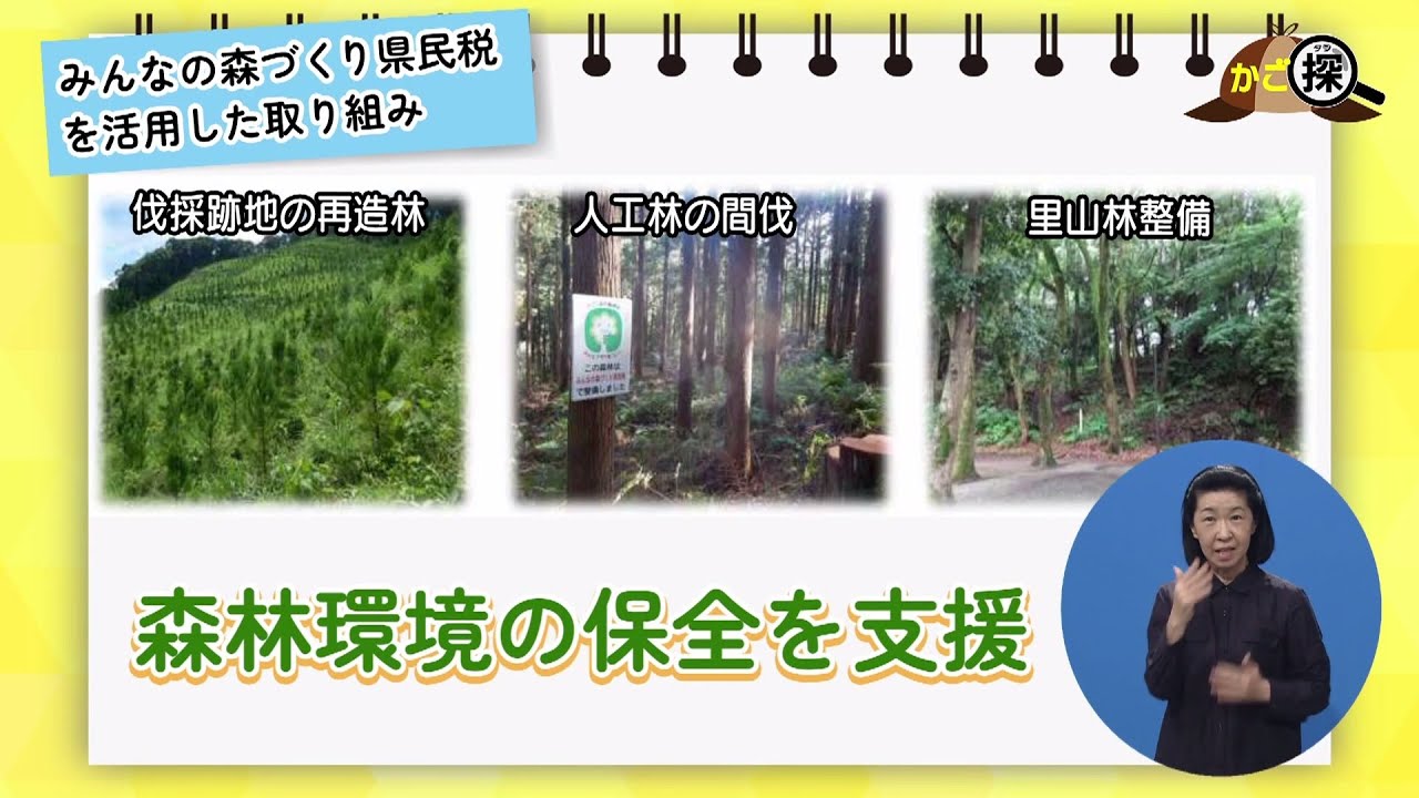 通販 |本 FOREST OF 日本語版 豊かな森へ：自然保護とエコロジーの1990