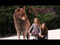 Twilight wolves ~ Dynasty
