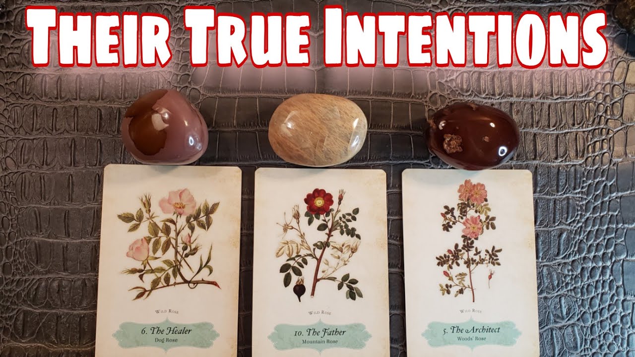 💘💫 What Are Their True Intentions? Pick A Card 🌟💗  How Are They Truly Feeling For You?