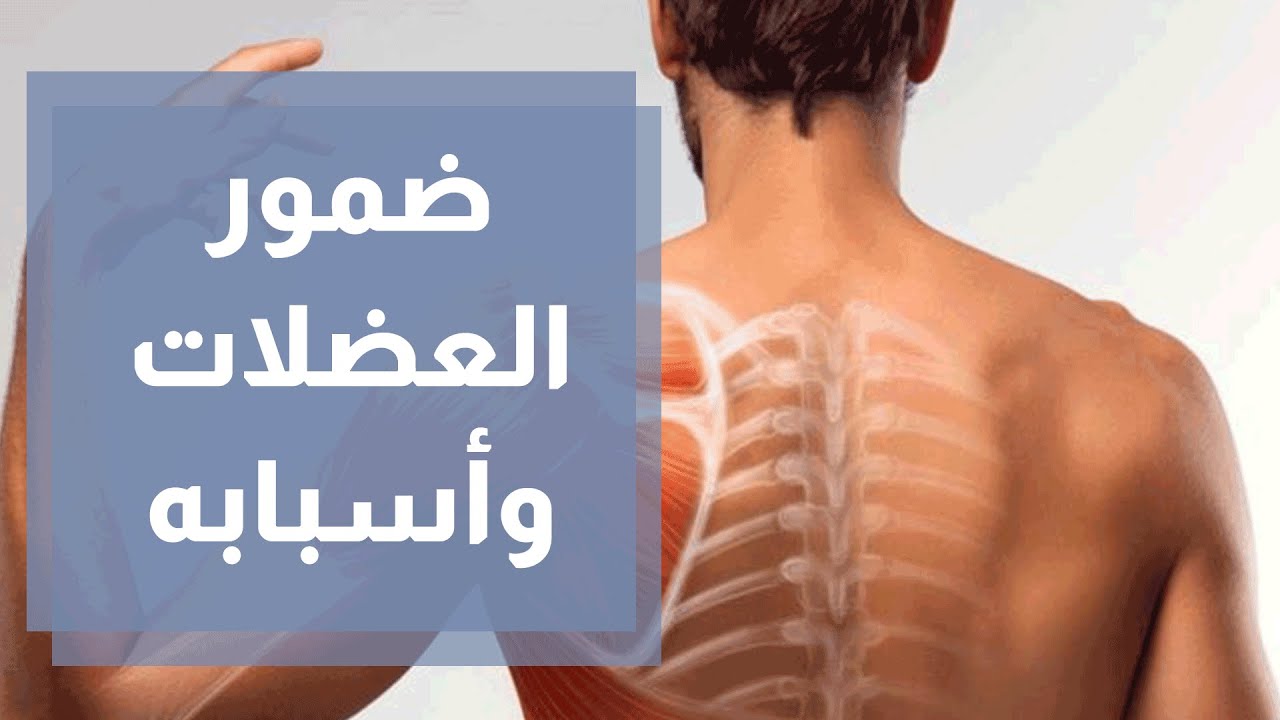 ضمور العضلات وأسبابه - دنيا يا دنيا