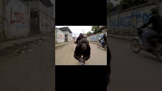 Pov: Visitas la Aldea el Carmen y las Lomas - Honduras (mala idea 💀)