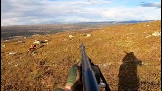 The Bulletproof Rype