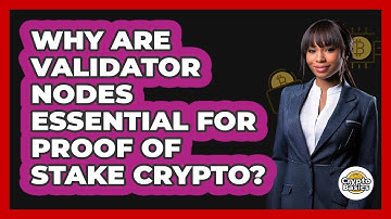 Why Are Validator Nodes Essential For Proof Of Stake Crypto? - CryptoBasics360.com