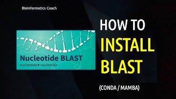 How to Install BLAST in Linux using Conda | Mamba | NCBI BLAST Tutorial | DNA and Protein sequences