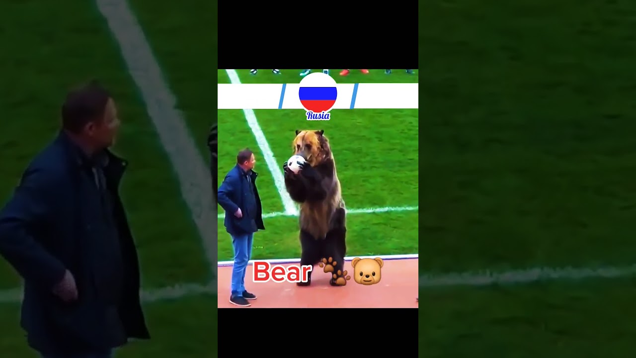 Did Russia REALLY use a bear in a football match!? ⚽️✅️💪🏻