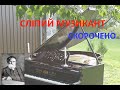 Сліпий музикант. Скорочено.