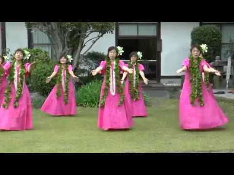 2018.4.7　西伊豆　最福寺　お花まつり　フラダンス　涙そうそう