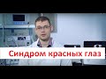 Синдром красных глаз у собак и кошек. Лечение красных глаз в ИВЦ МВА.