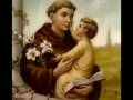 St Anthony Exhibition…