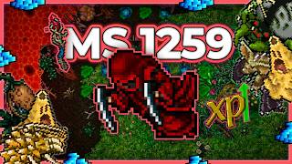 X4 - MONSTER
