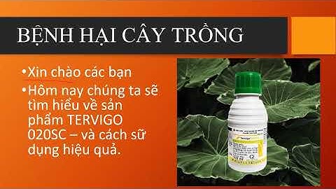 Hướng dẫn sử dụng thuốc tervigo