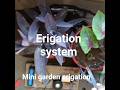 erigation system #electrical #experiment #creative #dc #minimakers #entertainment #electricity