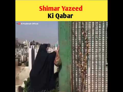 Shimar Yazeed Ki Qabar 🤬 | #shorts #youtubeshorts #factsvideo