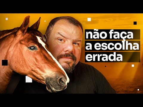 Exemplo audiovisual Renan Menussi