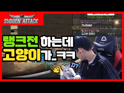[서든어택] 랭크전 하는데 고양이가 ㅋㅋㅋ (suddenattack)