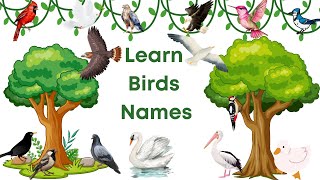 Learn Birds Names-For Prep-Kindergarten