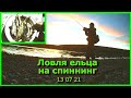 Ловля ельца на спиннинг 13 07 21