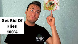 How I 100% Got Rid Of Flies In My Reptile Room